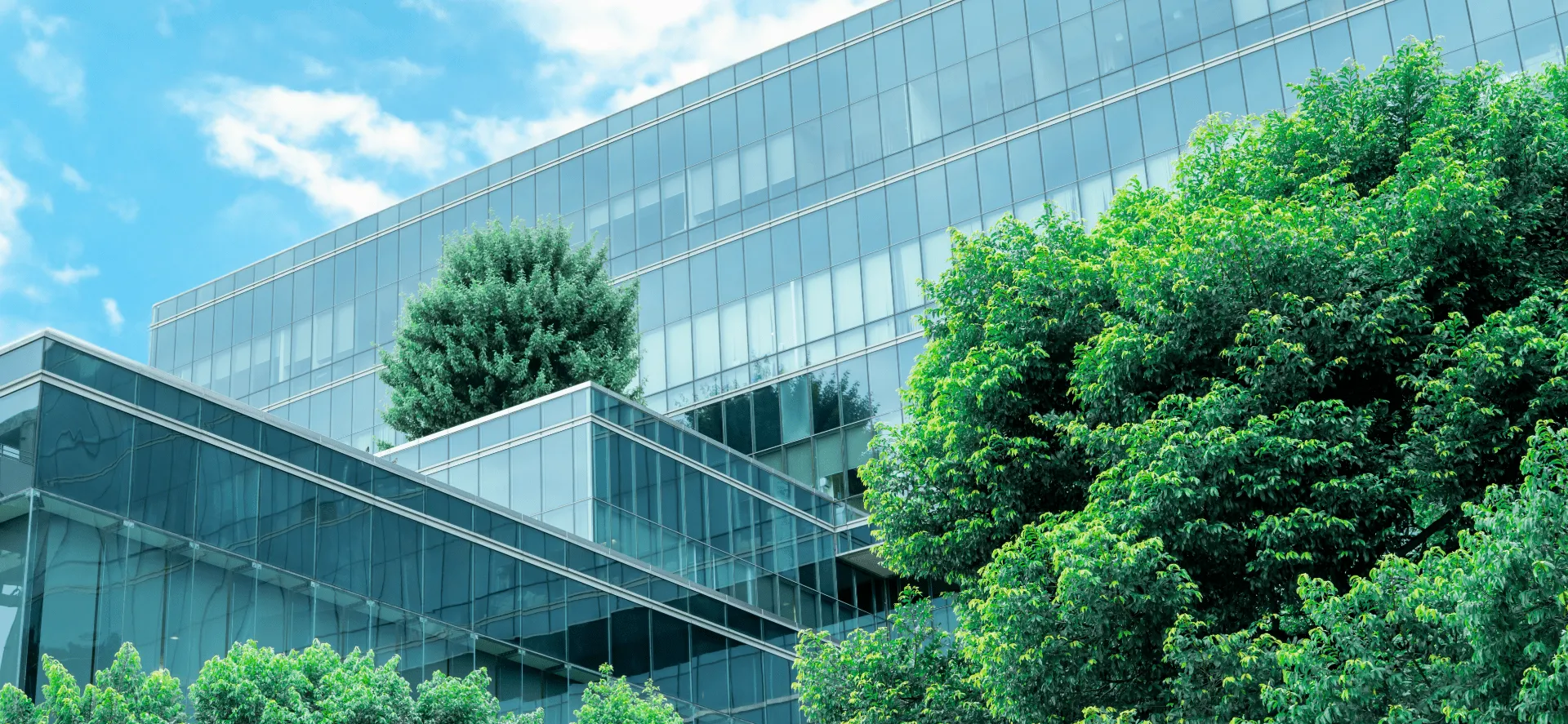 Smart building with trees alongside, symbolizing eco-friendly technology integration